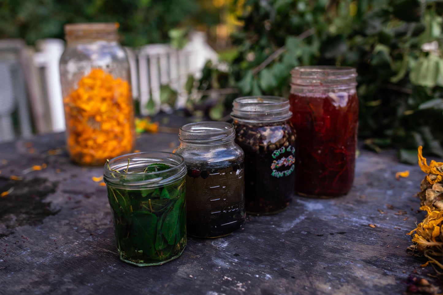 Adventures in Natural Dye - Tamara White - Fri. 7/31