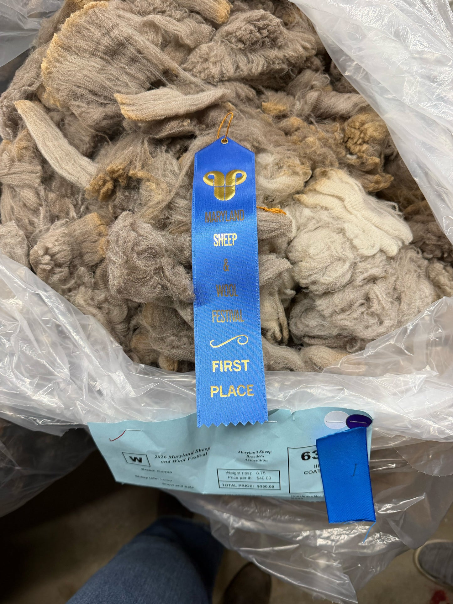 Sheep to Skein - Fiber Processing from Start to Finish! - Tazhiana Gordon - Sat. 8/1