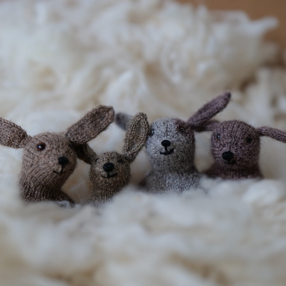 Knit an Animal Friend - Cinthia Vallet - Sat. 8/1