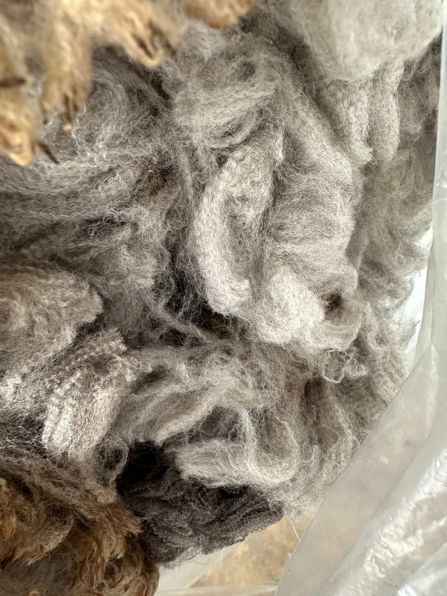 Sheep School: Fleece Selection, Scouring and Troubleshooting - Amy Manko - Sun. 8/2
