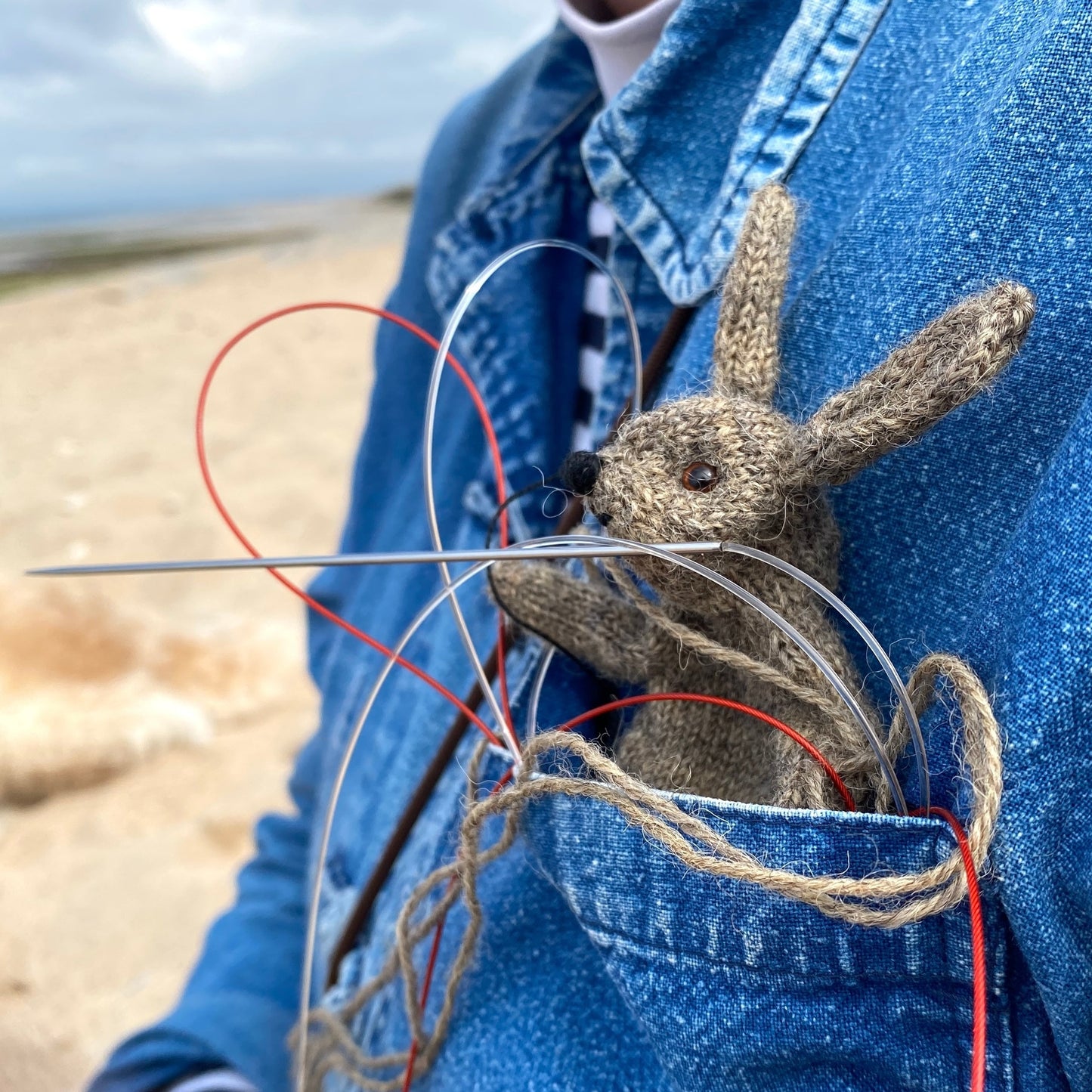 Knit an Animal Friend - Cinthia Vallet - Sat. 8/1